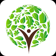 Logotipo Daily Yoga